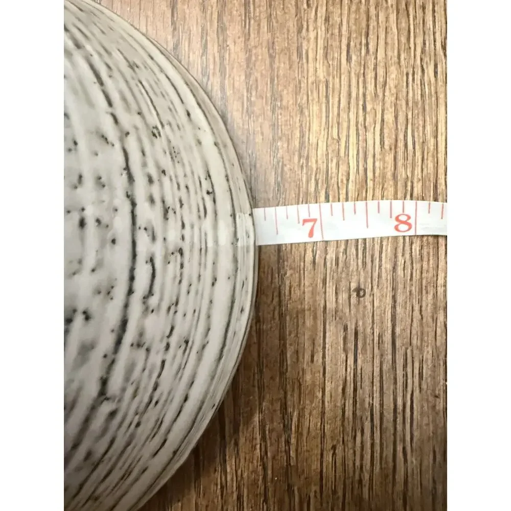 Set of 2 - Pier 1 Midori Speckled Stoneware Soup or Cereal Bowl, 6.25